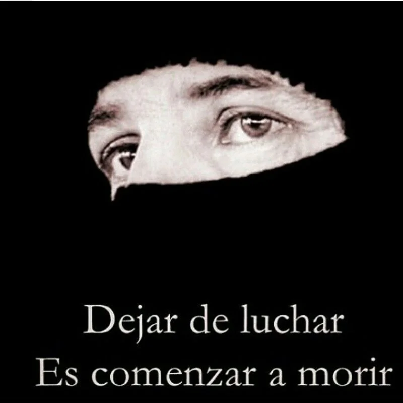 Image for Reencuadrar la resistencia