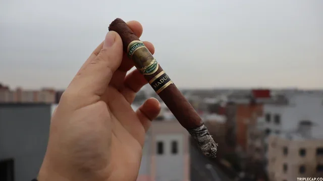 Image for El "grand bargain": un puente hecho de humo