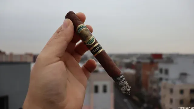 El "grand bargain": un puente hecho de humo